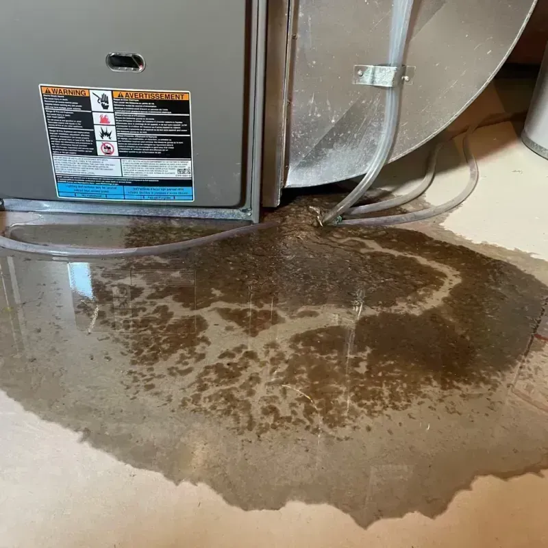 Appliance Leak Cleanup in Yorkville, IL